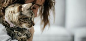 The Feline Connection: How Cats Strengthen The Bonds Between Humans